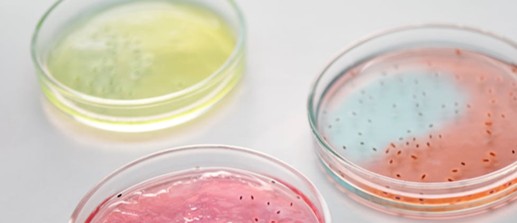 Microbiome Therapies Microbiome Therapies