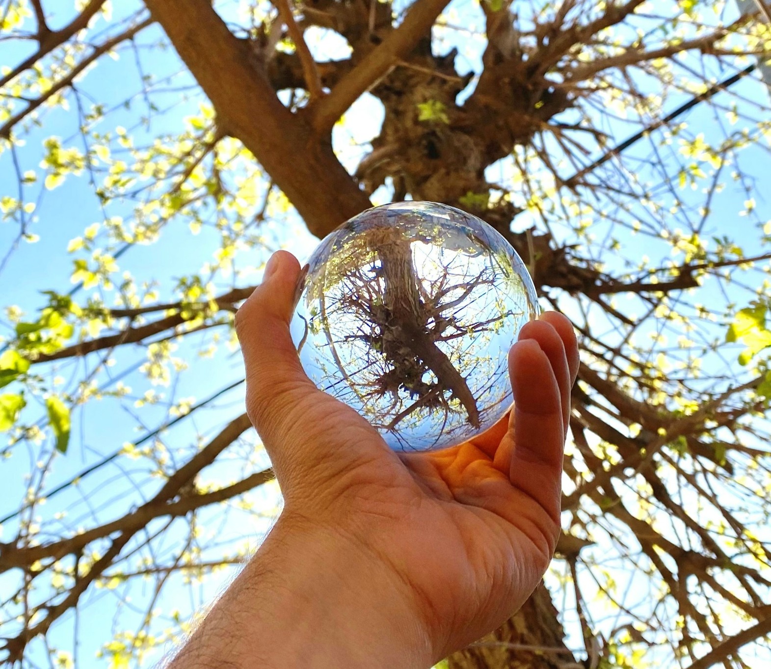 Biosolutions Biosolutions