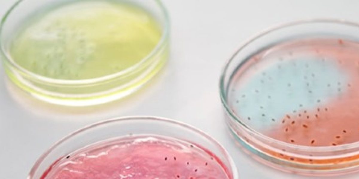 Microbiome1
