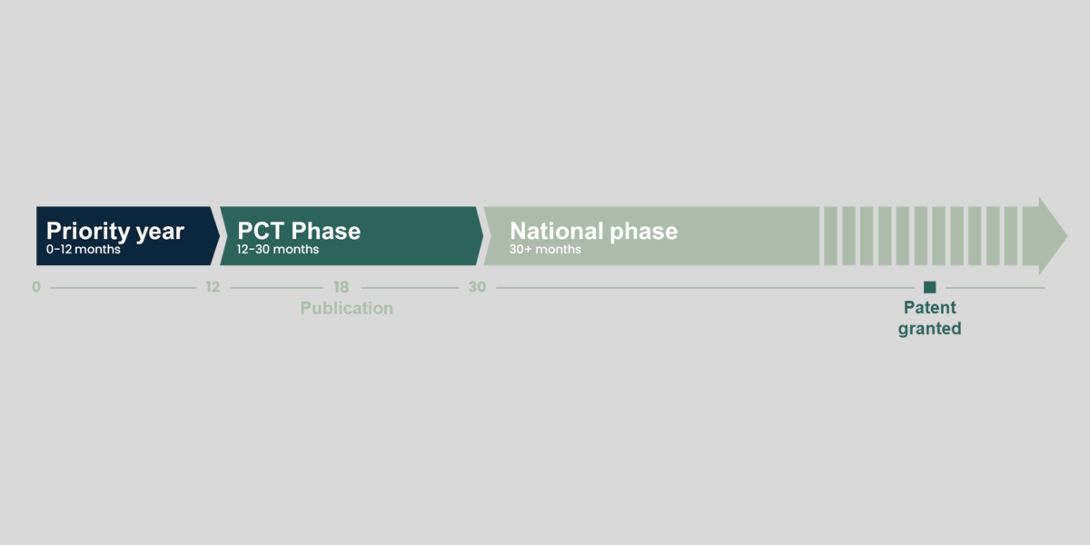 Patent process10